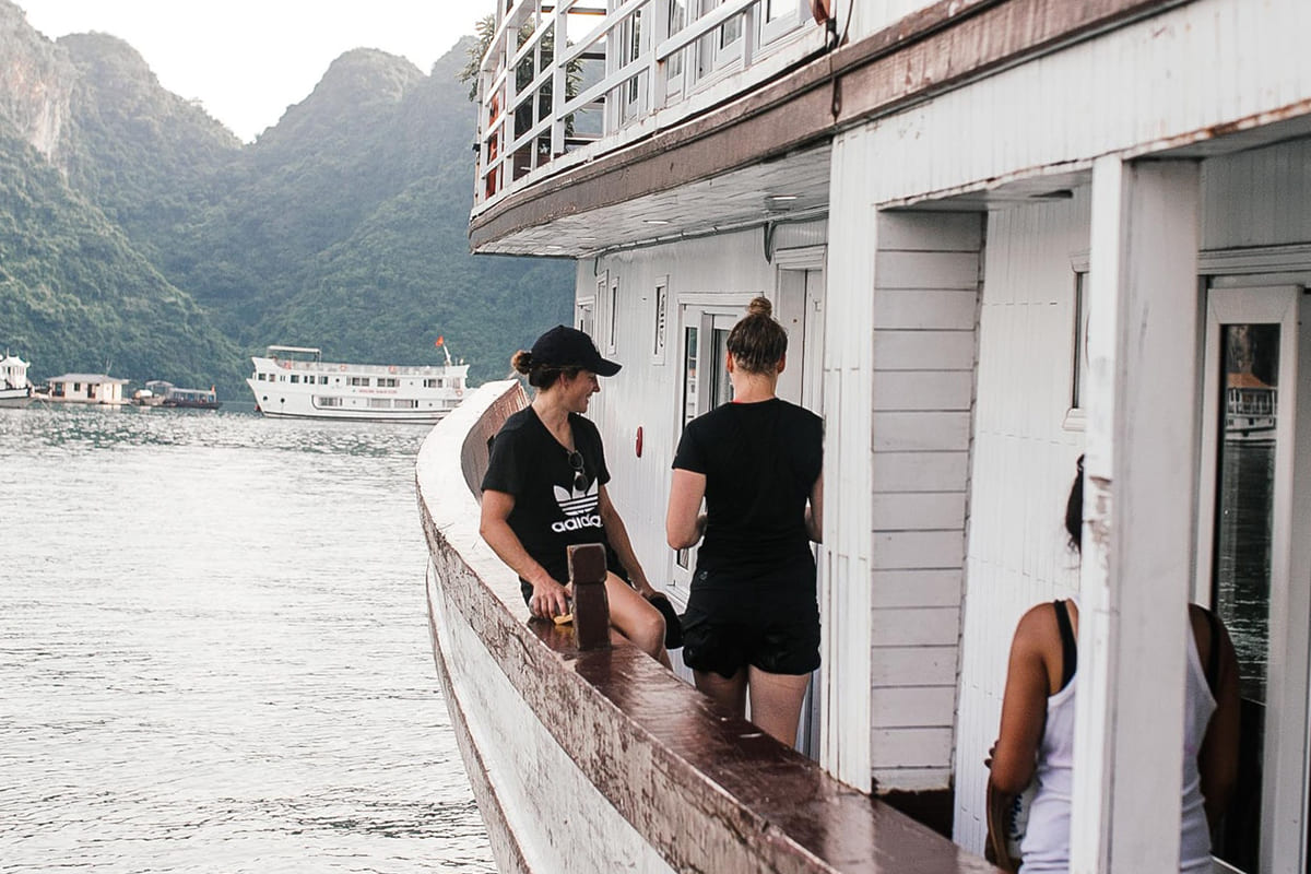 Kaktüs ve Sukulent Dünyası